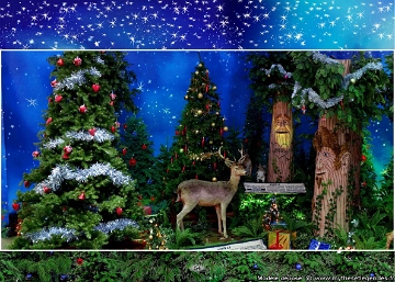 Forêt du Père Noël (052) Daim